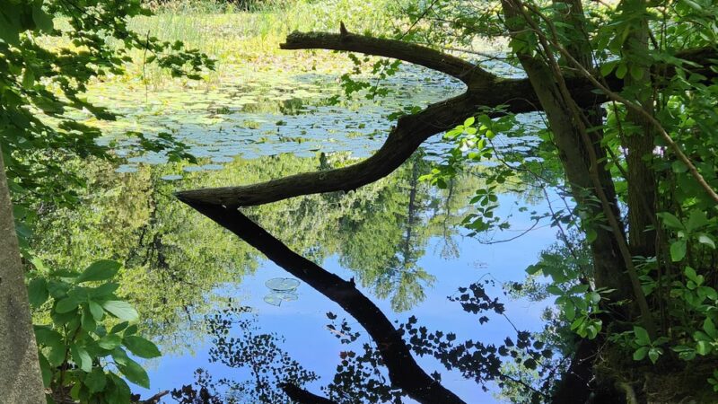 Middlesex Fells Reservation - Long Pond Parking Lot - Winchester, MA