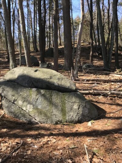 The Rock Sofa - Winchester, MA