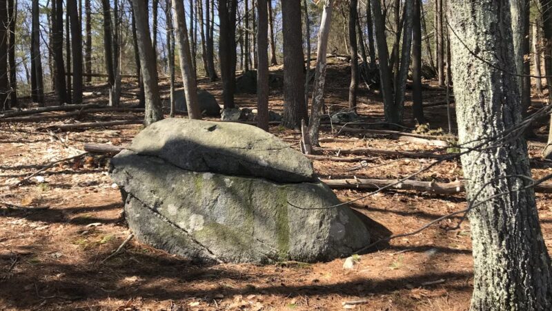 The Rock Sofa - Winchester, MA