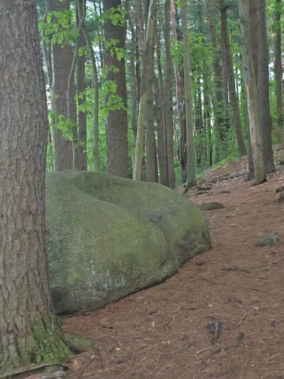 The Rock Sofa - Winchester, MA