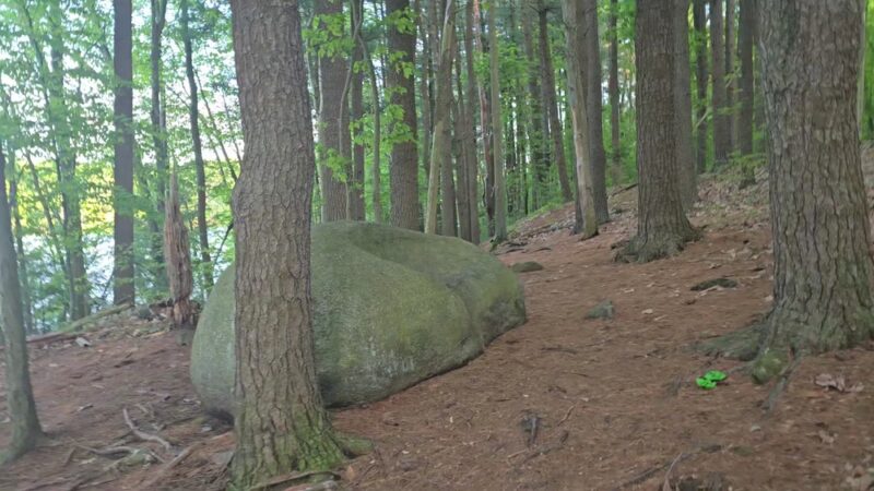 The Rock Sofa - Winchester, MA