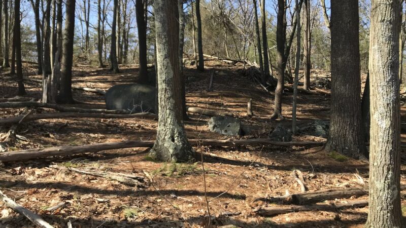 The Rock Sofa - Winchester, MA