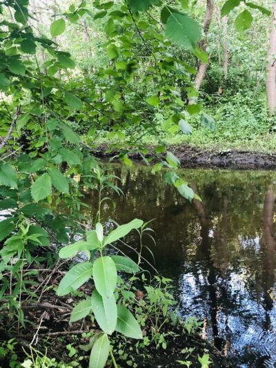 Tri Community Greenway - Winchester, MA