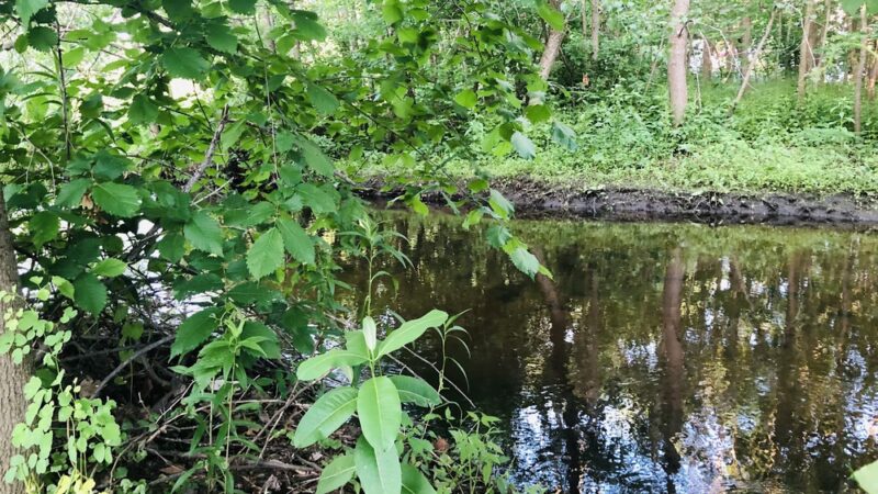 Tri Community Greenway - Winchester, MA