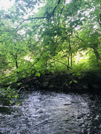 Tri Community Greenway - Winchester, MA
