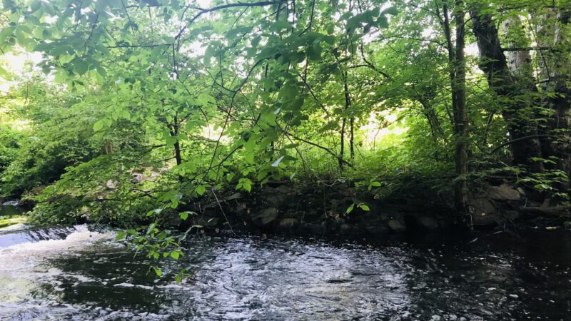 Tri Community Greenway - Winchester, MA