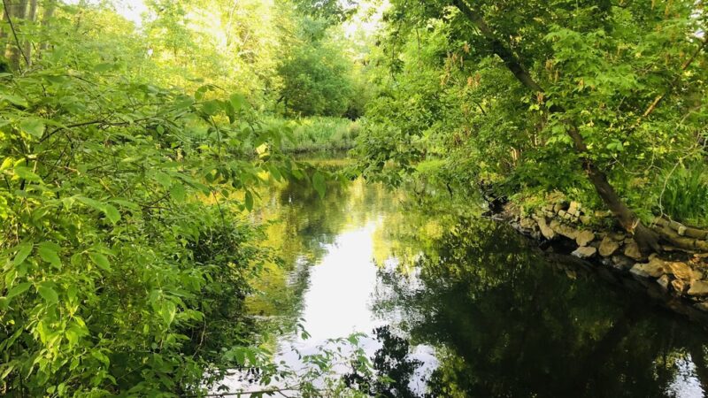 Tri Community Greenway - Winchester, MA