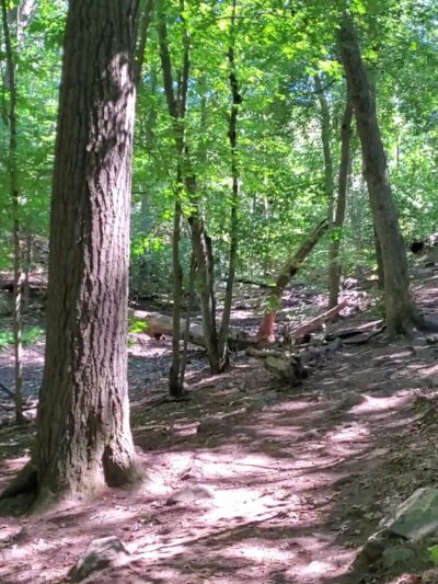Whipple Hill Parking Lot - Winchester, MA