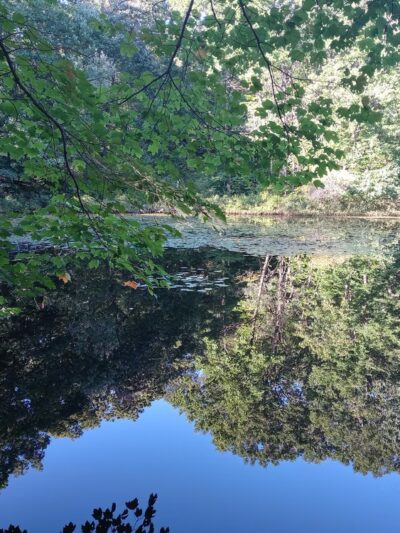 Whipple Hill Parking Lot - Winchester, MA
