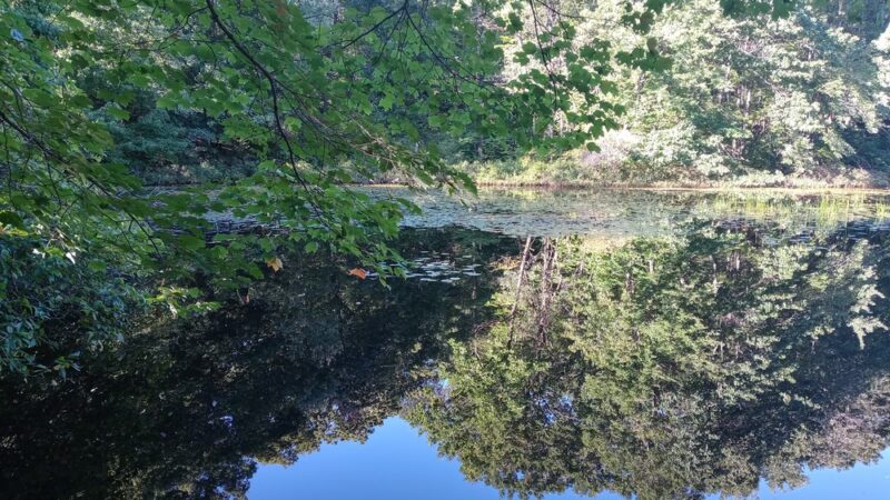 Whipple Hill Parking Lot - Winchester, MA