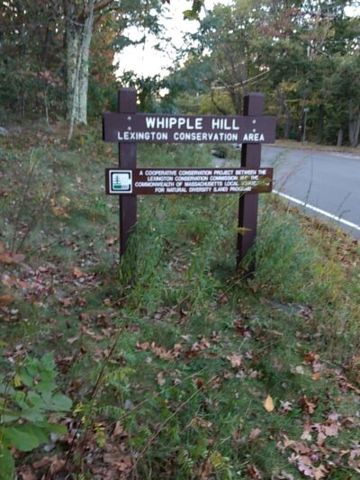 Whipple Hill Parking Lot - Winchester, MA