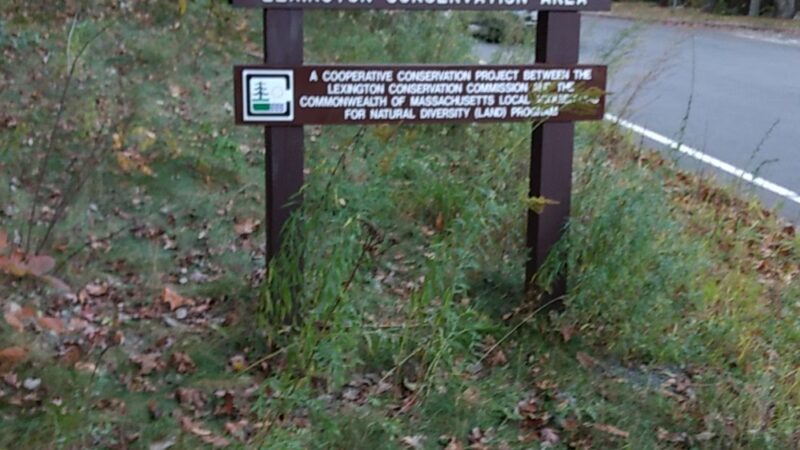 Whipple Hill Parking Lot - Winchester, MA