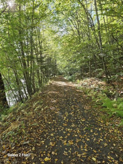 Ashuelot Recreational Rail Trail - Winchester, NH