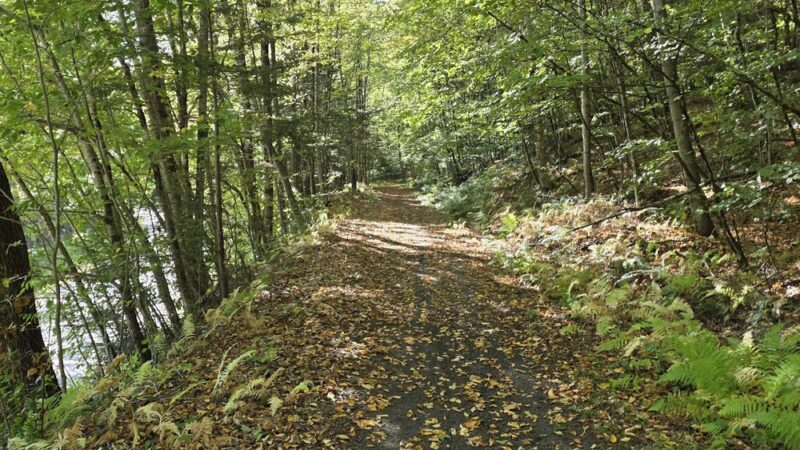 Ashuelot Recreational Rail Trail - Winchester, NH