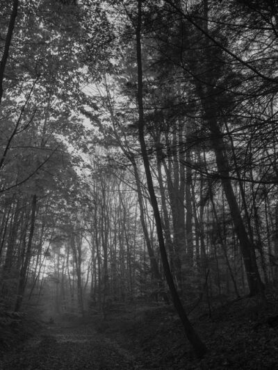 Ashuelot Recreational Rail Trail - Winchester, NH