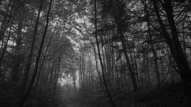 Ashuelot Recreational Rail Trail - Winchester, NH