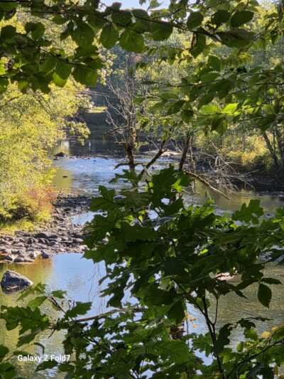 Ashuelot Recreational Rail Trail - Winchester, NH