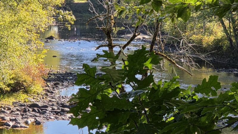 Ashuelot Recreational Rail Trail - Winchester, NH
