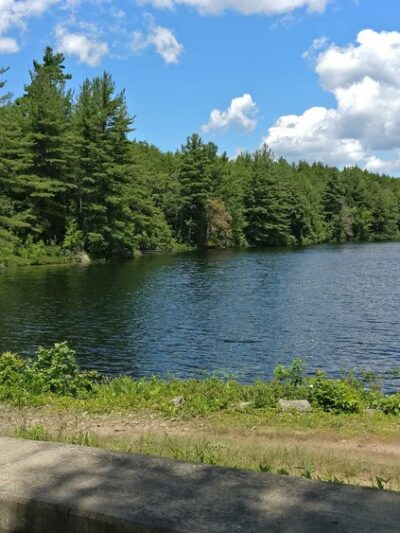 Pisgah State Park - Winchester, NH