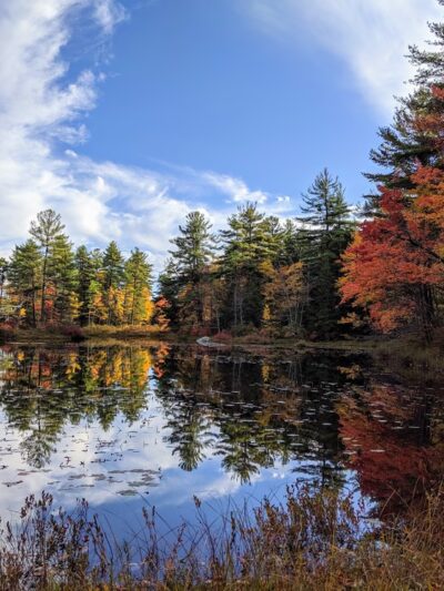 Pisgah State Park - Winchester, NH