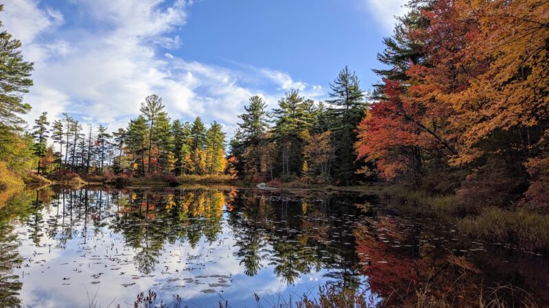 Pisgah State Park - Winchester, NH