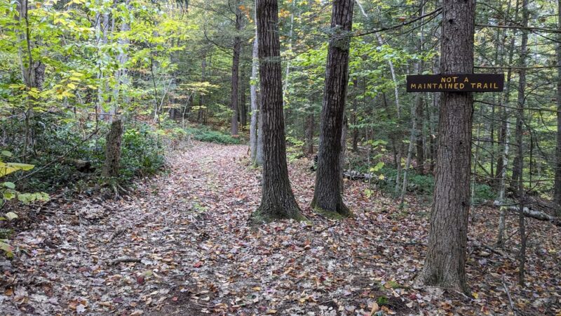 Pisgah State Park - Winchester, NH