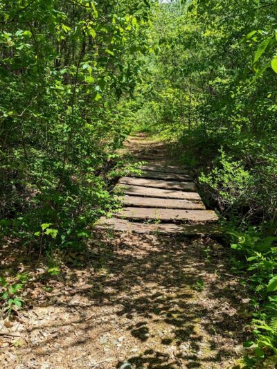 Clyde Pond - Windham, NH