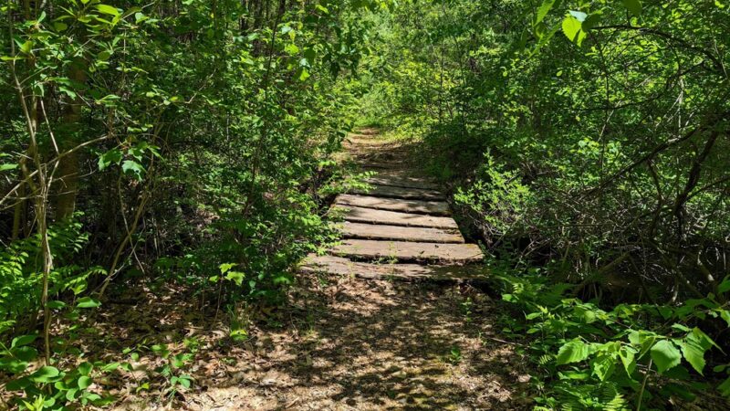 Clyde Pond - Windham, NH