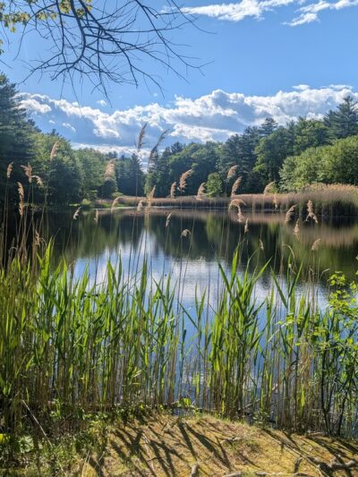Clyde Pond - Windham, NH