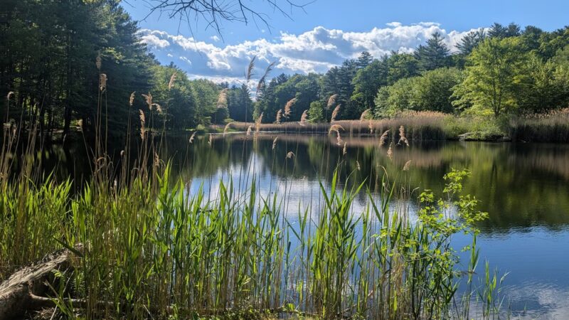 Clyde Pond - Windham, NH