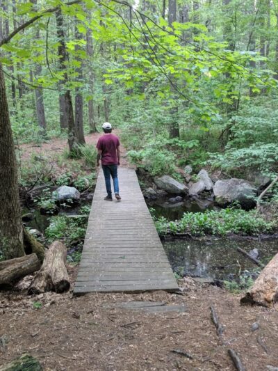 Foster's Pond Natural Area - Windham, NH