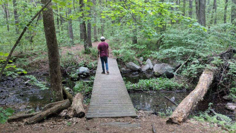Foster's Pond Natural Area - Windham, NH