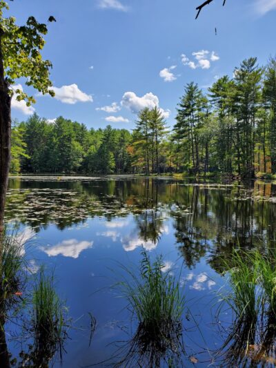 Foster's Pond Natural Area - Windham, NH
