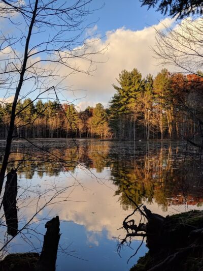 Foster's Pond Natural Area - Windham, NH