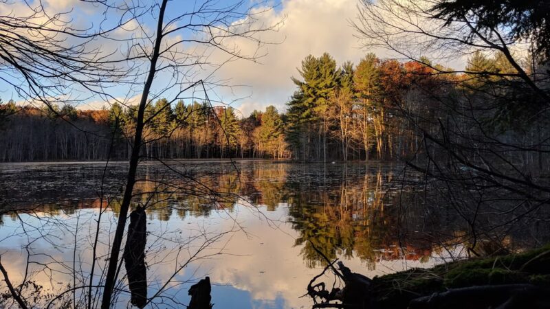 Foster's Pond Natural Area - Windham, NH