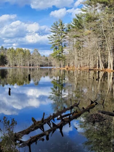 Foster's Pond Trail - Windham, NH