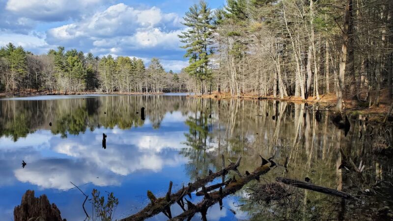 Foster's Pond Trail - Windham, NH