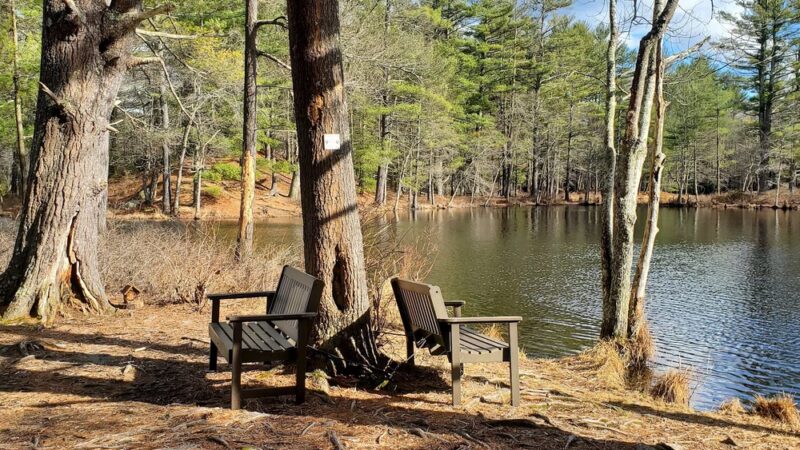 Foster's Pond Trail - Windham, NH
