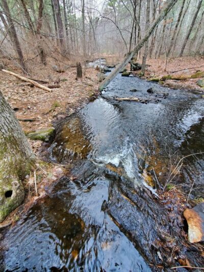 Foster's Pond Trail - Windham, NH