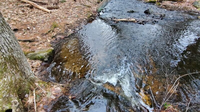 Foster's Pond Trail - Windham, NH