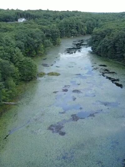 Windham Rail Trail - Windham, NH