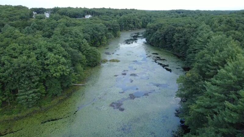 Windham Rail Trail - Windham, NH