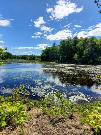 Windham Rail Trail - Windham, NH