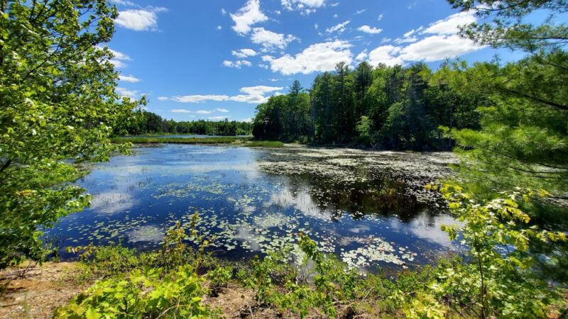 Windham Rail Trail - Windham, NH