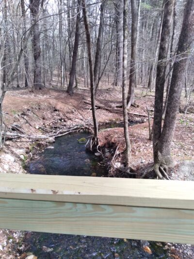 Windham Town Forest - Windham, NH