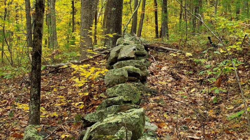 Windham Town Forest Parking - Windham, NH