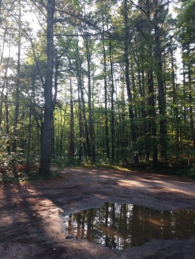 Windham Town Forest Parking - Windham, NH