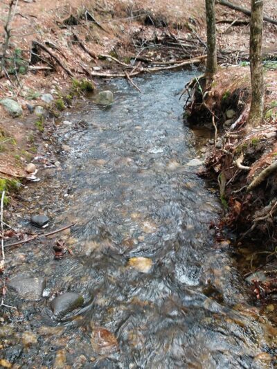 Windham Town Forest Parking - Windham, NH