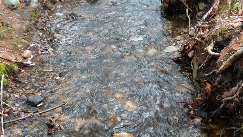 Windham Town Forest Parking - Windham, NH