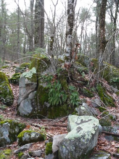 Windham Town Forest Parking - Windham, NH